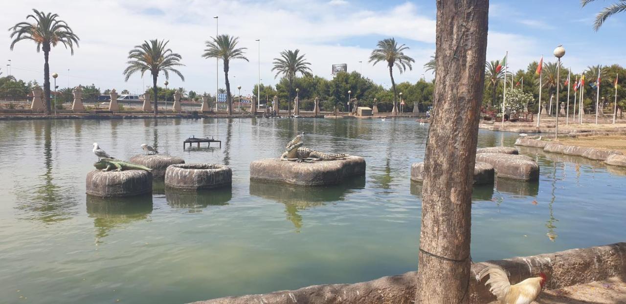 Schoene Wohnung Mit Pool , Wi-Fi Und Privat Garage Torrevieja Esterno foto