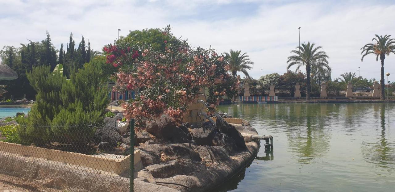 Schoene Wohnung Mit Pool , Wi-Fi Und Privat Garage Torrevieja Esterno foto